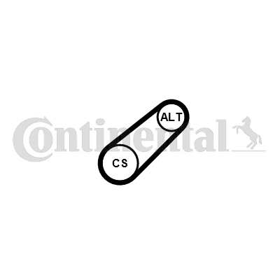 CONTINENTAL CTAM Moniurahihna