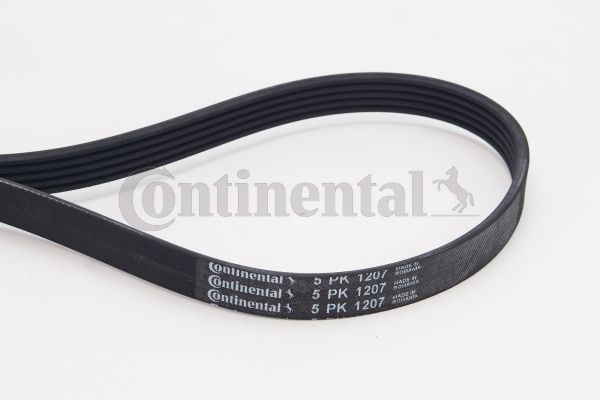 CONTINENTAL CTAM Moniurahihna