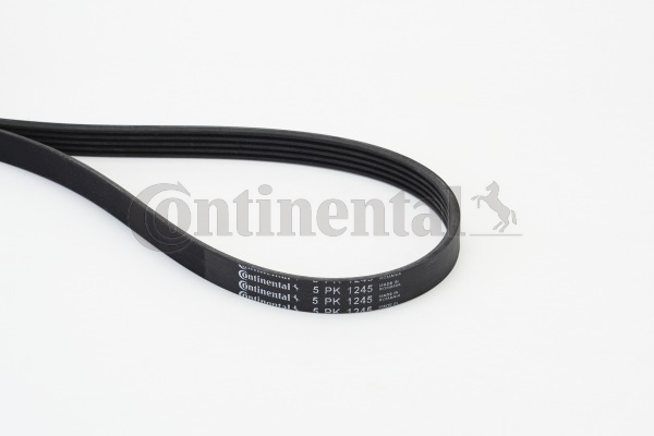 CONTINENTAL CTAM Moniurahihna
