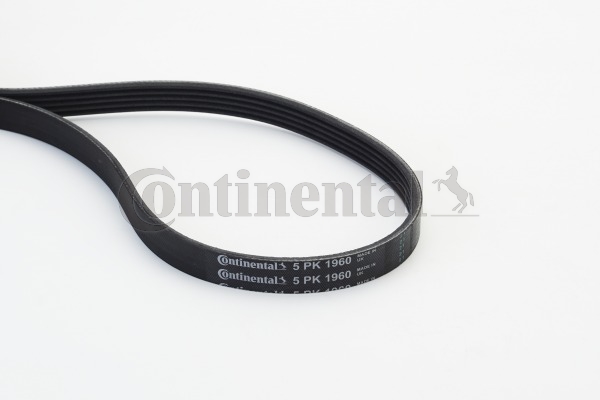 CONTINENTAL CTAM Moniurahihna