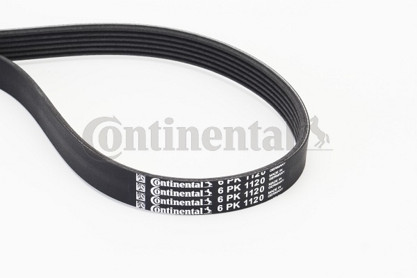 CONTINENTAL CTAM Moniurahihna
