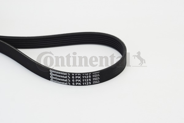 CONTINENTAL CTAM Moniurahihna