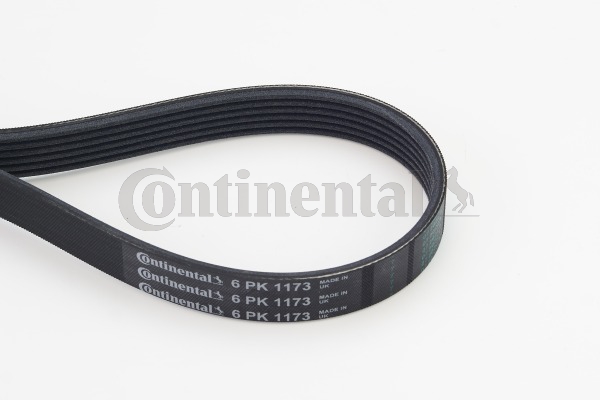 CONTINENTAL CTAM Moniurahihna