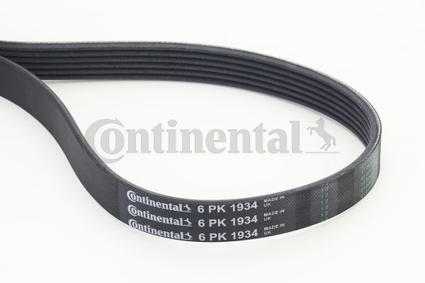 CONTINENTAL CTAM Moniurahihna