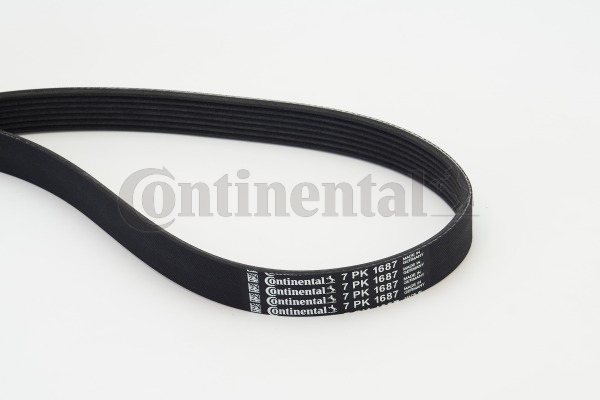 CONTINENTAL CTAM Moniurahihna