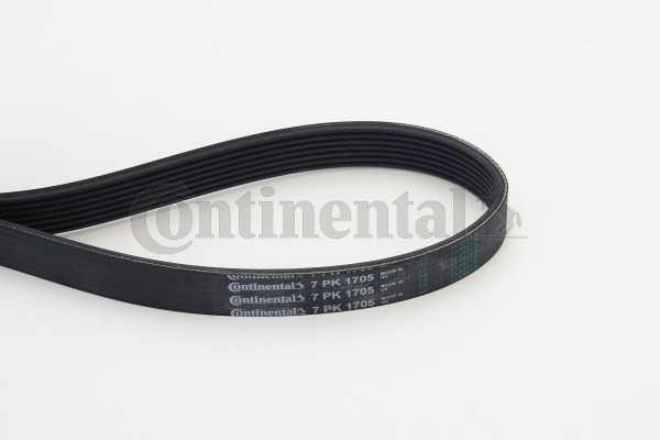 CONTINENTAL CTAM Moniurahihna