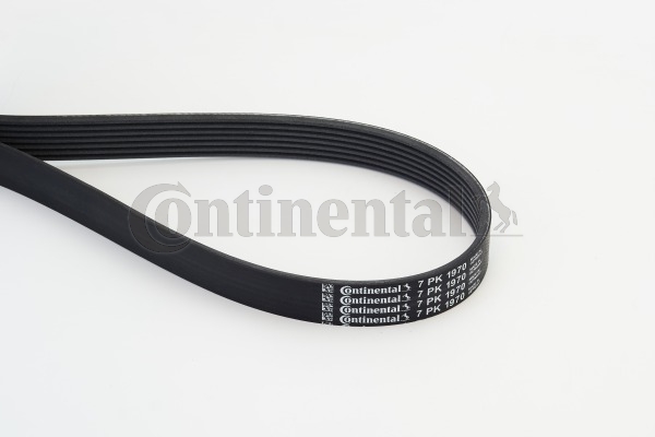 CONTINENTAL CTAM Moniurahihna