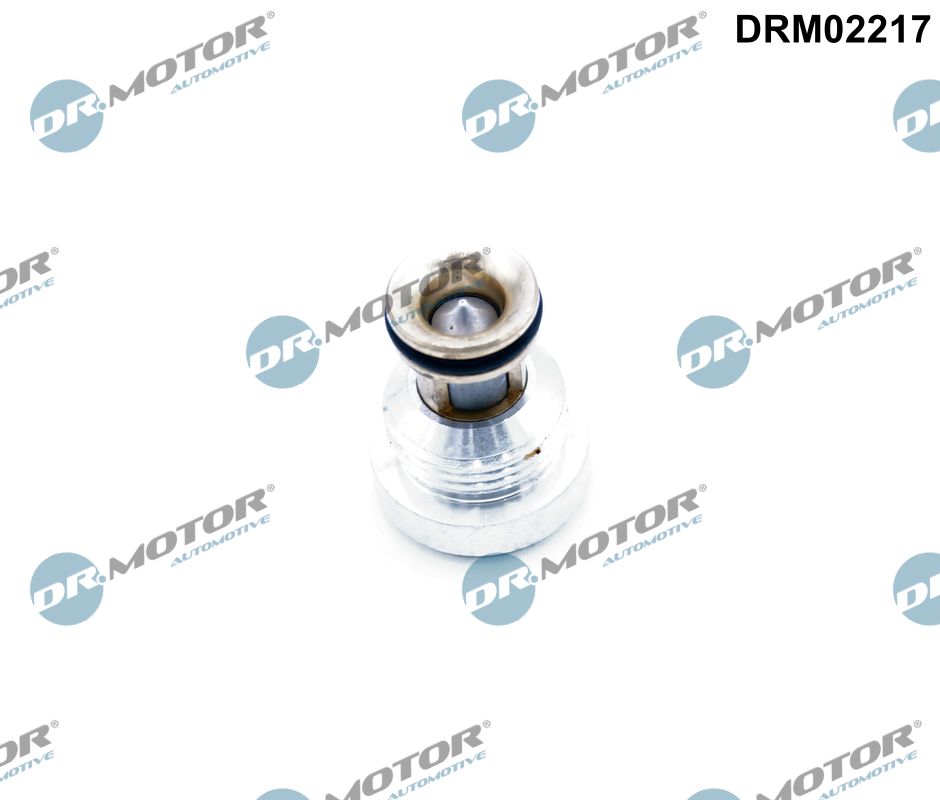 Dr.Motor Automotive Takaiskuventtiili