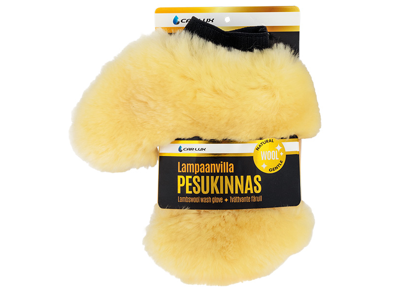CAR LUX Pesukinnas
